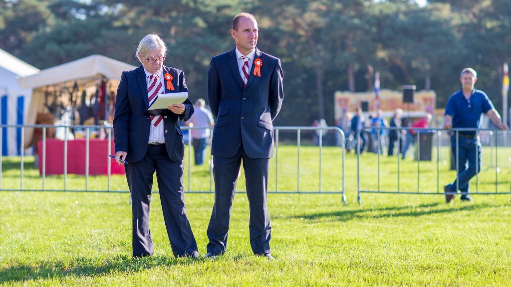 Lierop Fokpaardendag 2016 (53).jpg - Lierop Fokpaardendag 2016